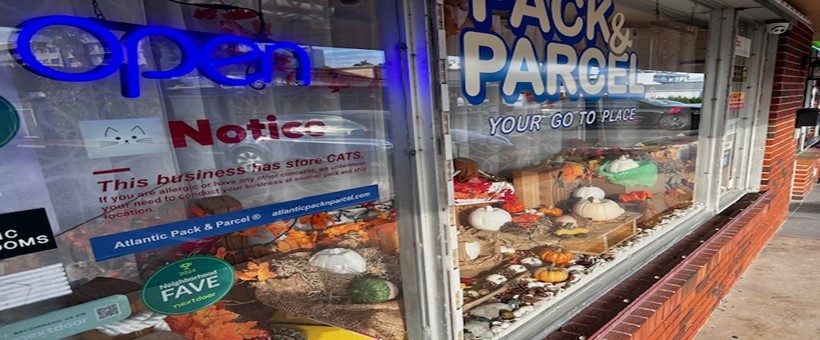 FALL into Shipping Here